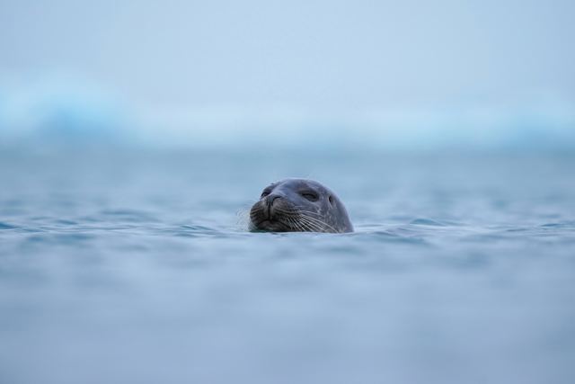 Jökulsárlón